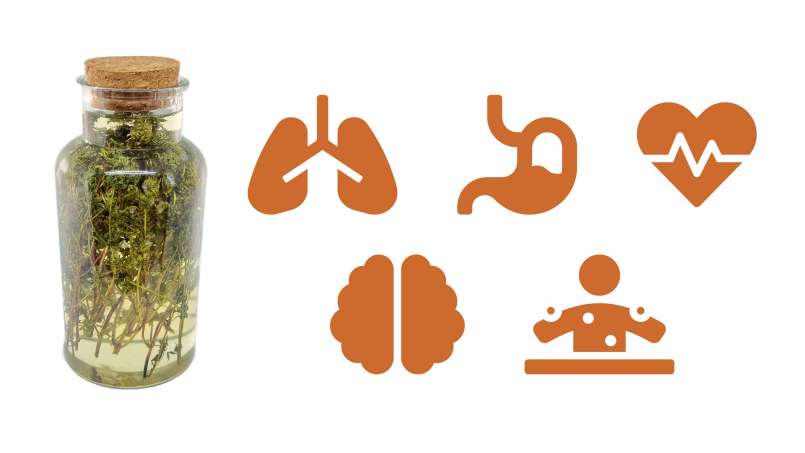 Macerato di timo con miele