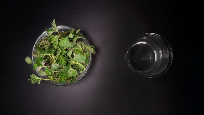 Tintura netta di ortica