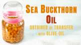 Trasferimento-tramite l'olio di uvetta